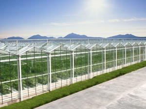 連棟溫室大棚